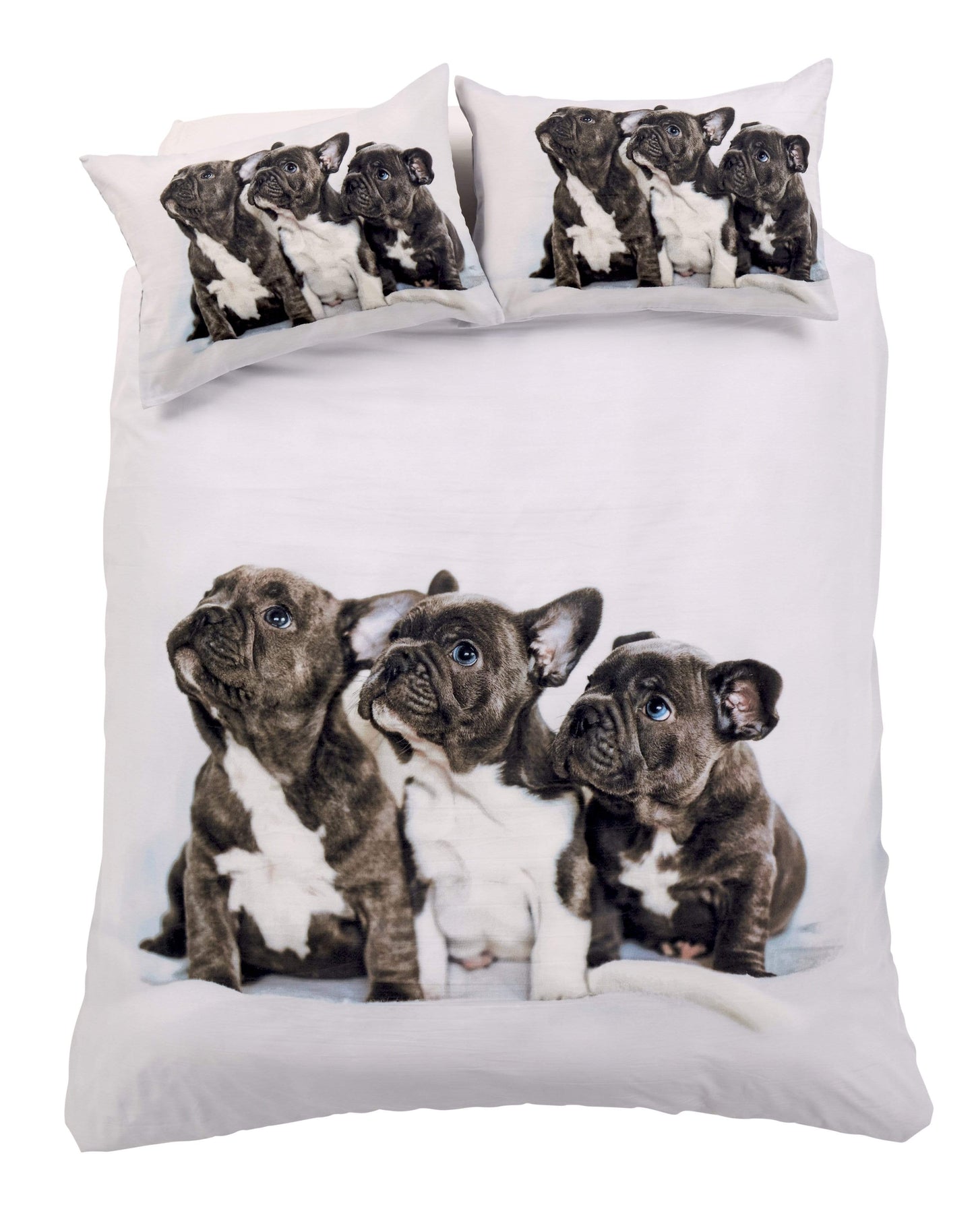 OLIVIA ROCCO Duvet Cover SINGLE Frenchie Duvet Set Wholesale Manchester UK