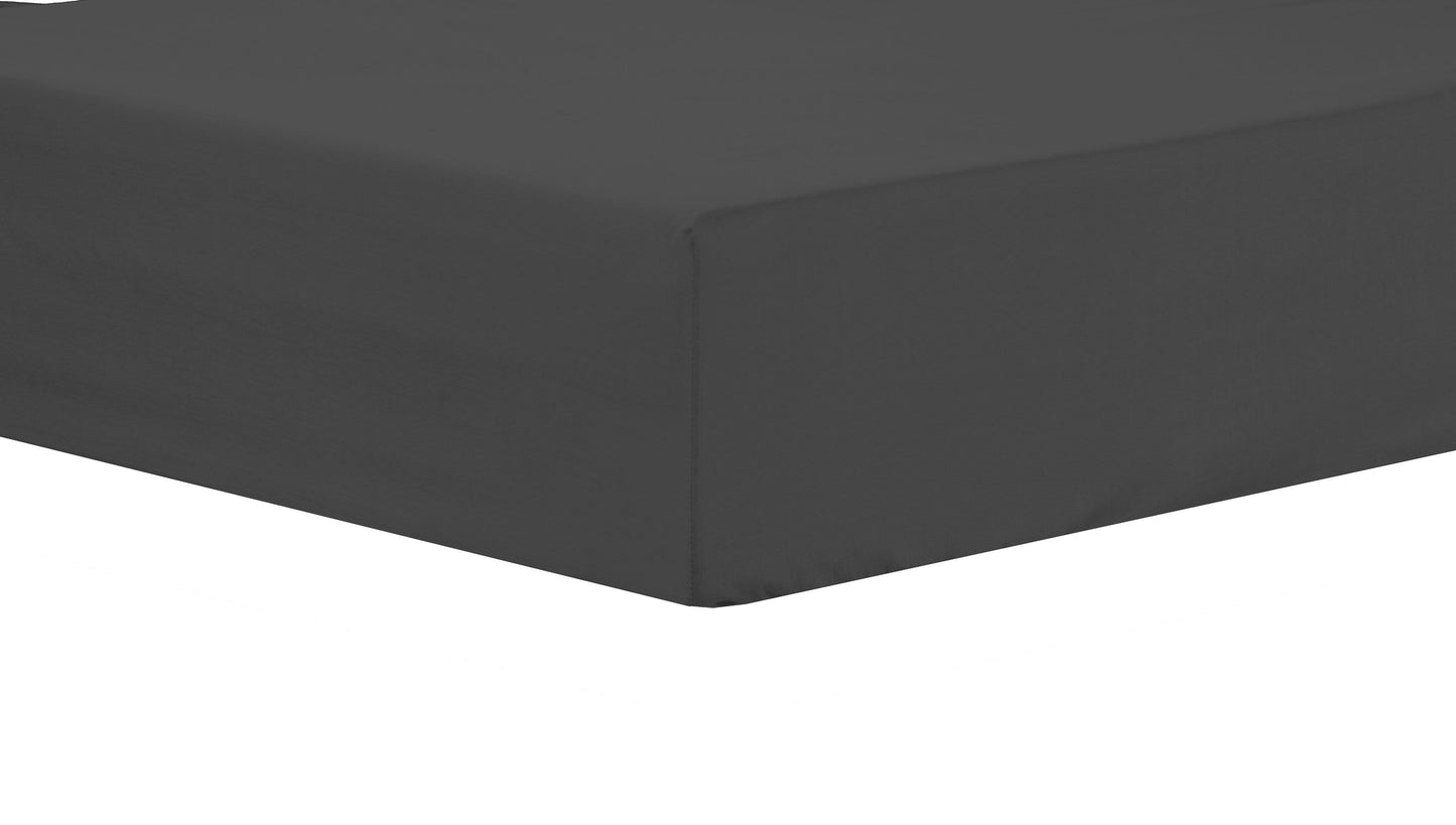OLIVIA ROCCO basics Fitted Sheet SINGLE / CHARCOAL Basics Fitted Sheet Wholesale Manchester UK