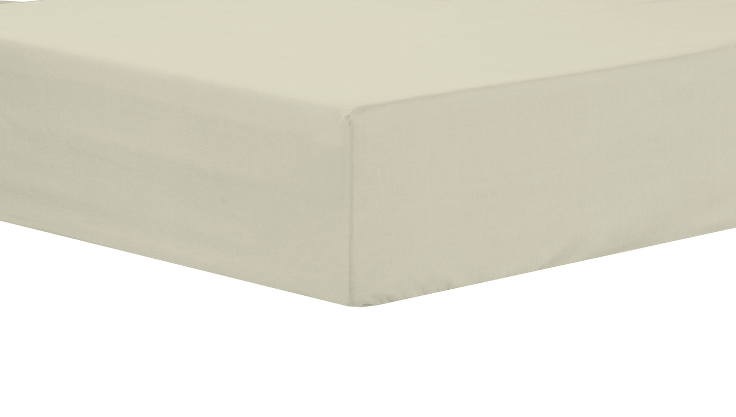 OLIVIA ROCCO basics Fitted Sheet SINGLE / CREAM Basics Fitted Sheet Wholesale Manchester UK