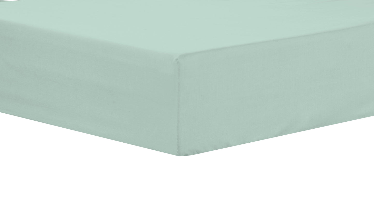 OLIVIA ROCCO basics Fitted Sheet SINGLE / DUCKEGG Basics Fitted Sheet Wholesale Manchester UK
