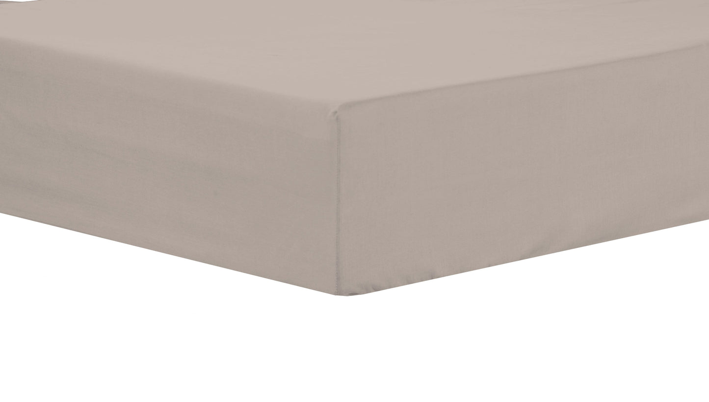 OLIVIA ROCCO basics Fitted Sheet SINGLE / NATURAL Basics Fitted Sheet Wholesale Manchester UK