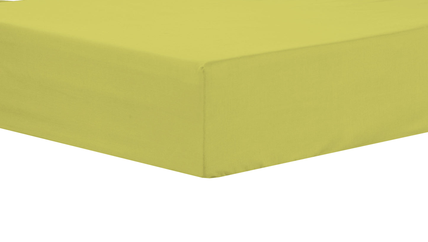 OLIVIA ROCCO basics Fitted Sheet SINGLE / OCHRE Basics Extra Deep Fitted Sheet Wholesale Manchester UK