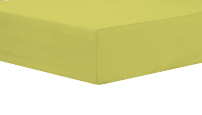 OLIVIA ROCCO basics Fitted Sheet SINGLE / OCHRE Basics Fitted Sheet Wholesale Manchester UK
