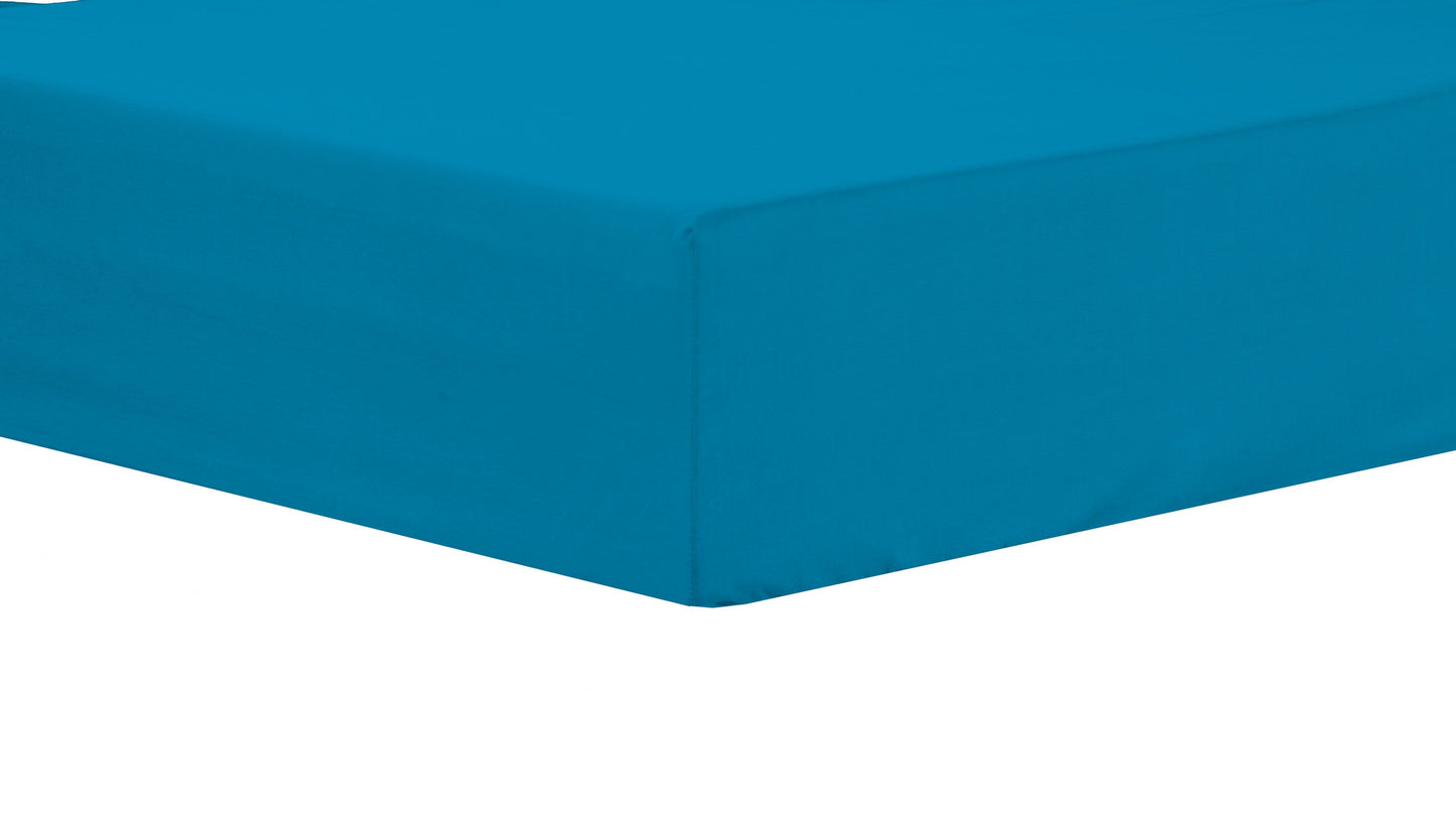 OLIVIA ROCCO basics Fitted Sheet SINGLE / TEAL Basics Fitted Sheet Wholesale Manchester UK