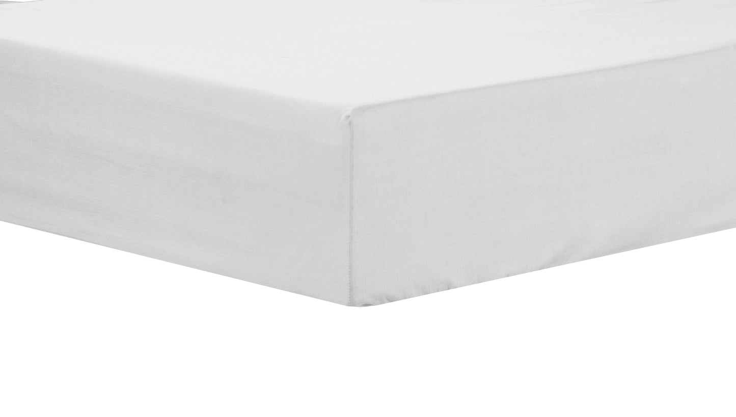 OLIVIA ROCCO basics Fitted Sheet SINGLE / WHITE Basics Fitted Sheet Wholesale Manchester UK