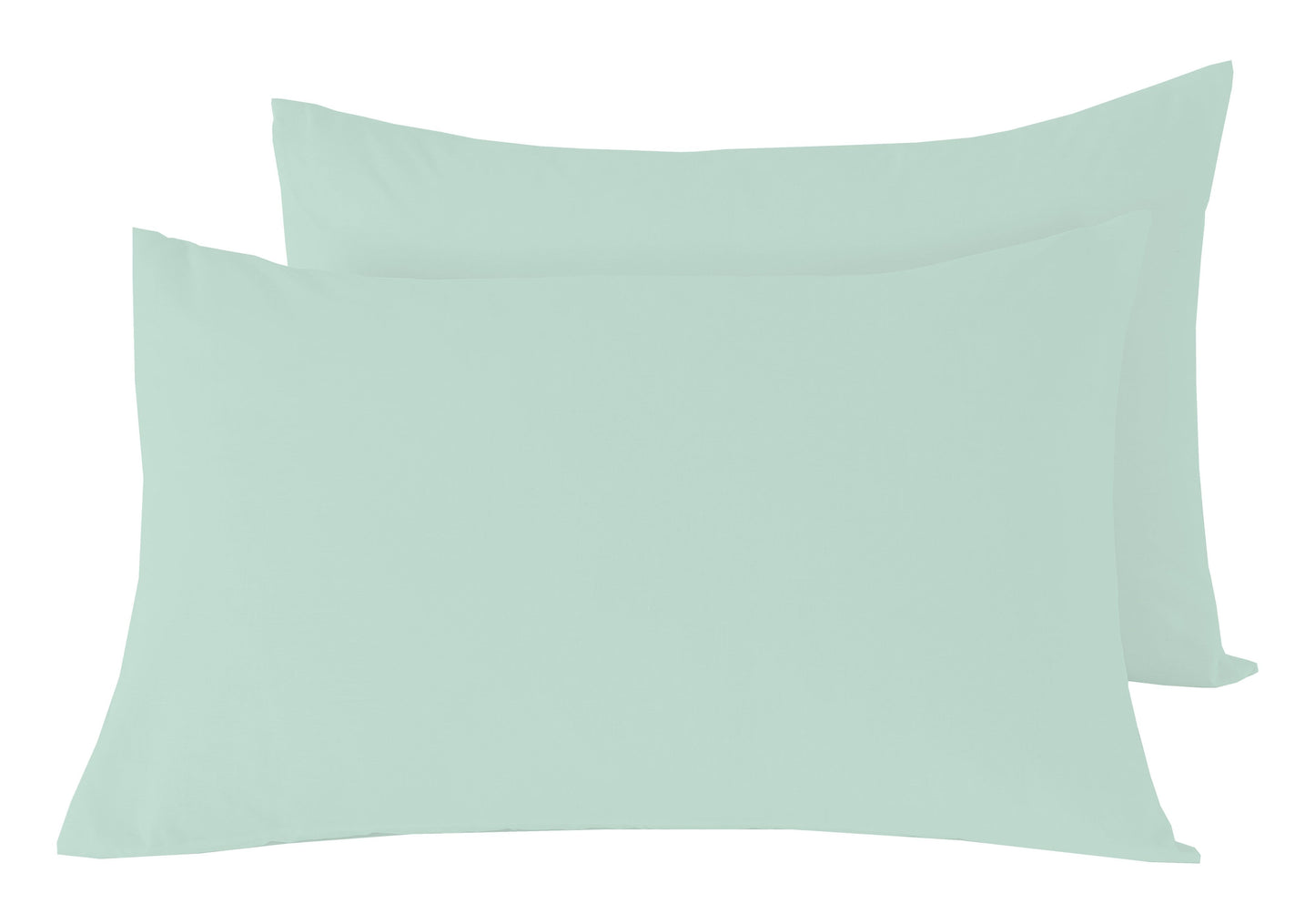 OLIVIA ROCCO basics Flat Sheet PILLOWCASES / DUCKEGG Basics Flat Sheet Wholesale Manchester UK